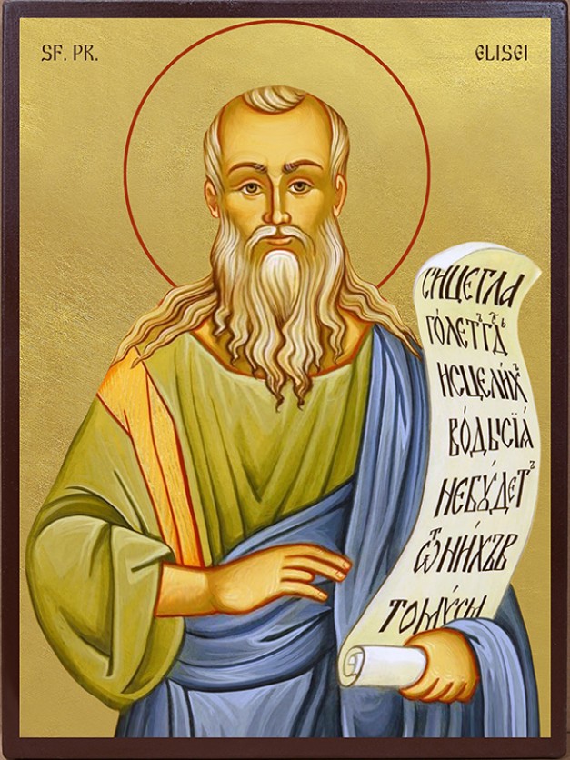 Icoana cu Sfântul Pr. Elisei - aurită