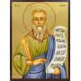 Icoana cu Sfântul Pr. Elisei - aurită